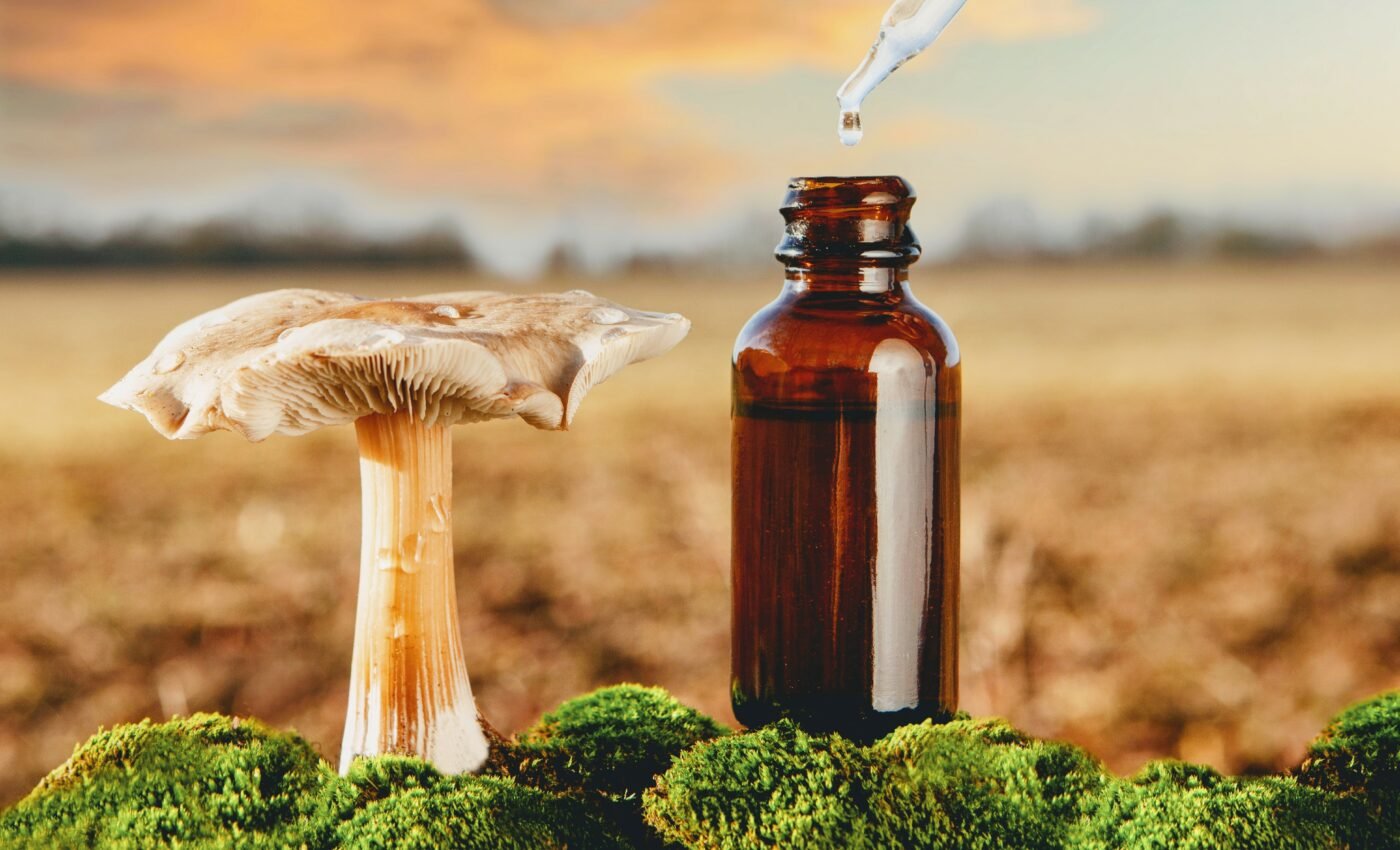 Genetics influence the brain's response to psychedelics