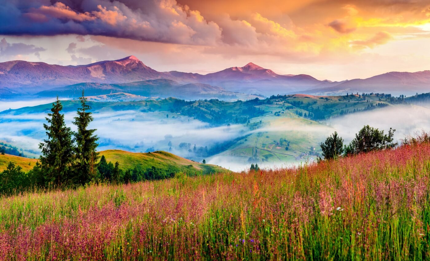 Nurturing benefits of nature are crucial for human well-being