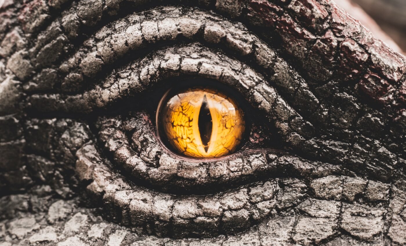 Dinosaurs evolved different eye sockets for stronger bites