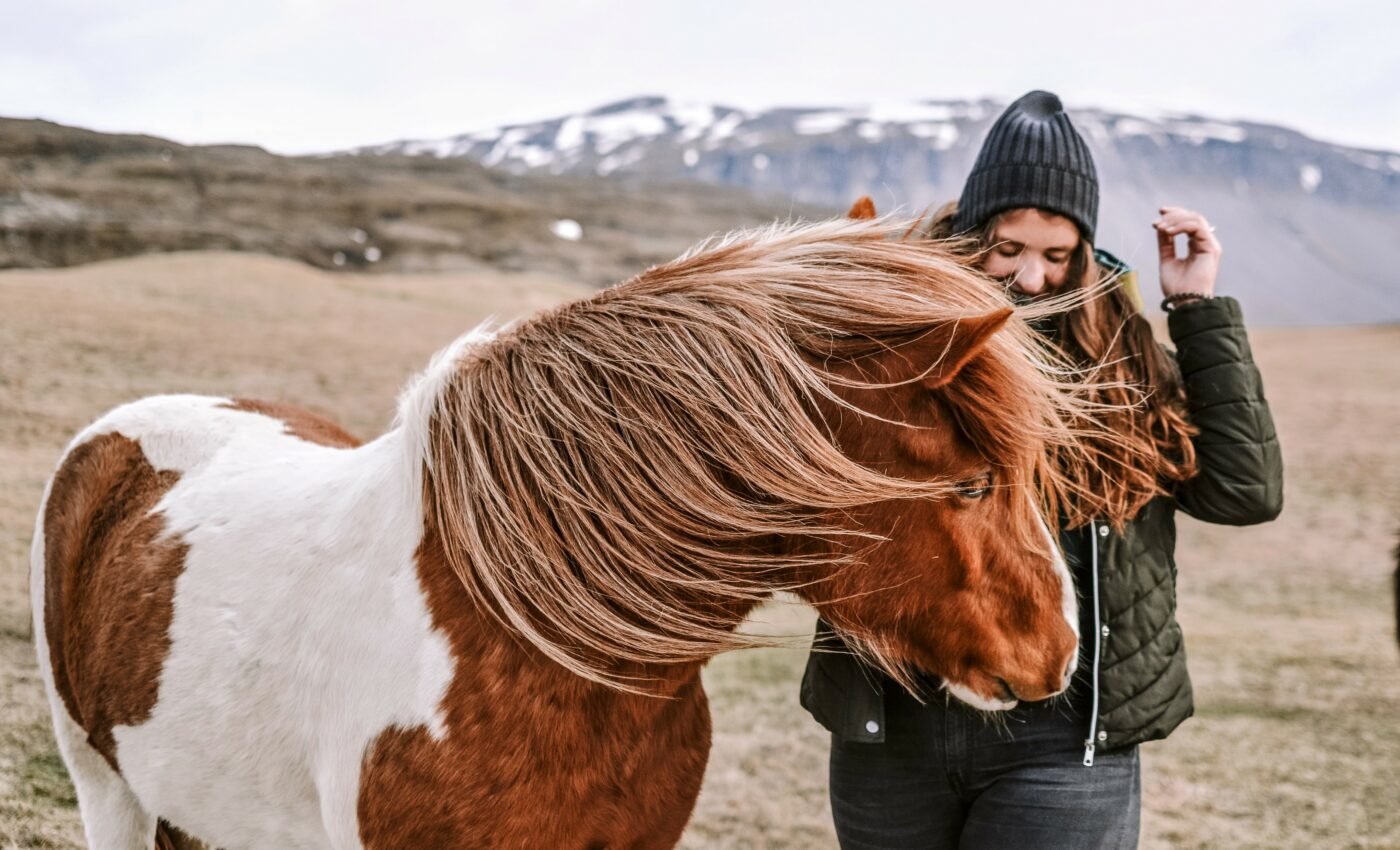 Horses with a trusted owner remain calm in new situations