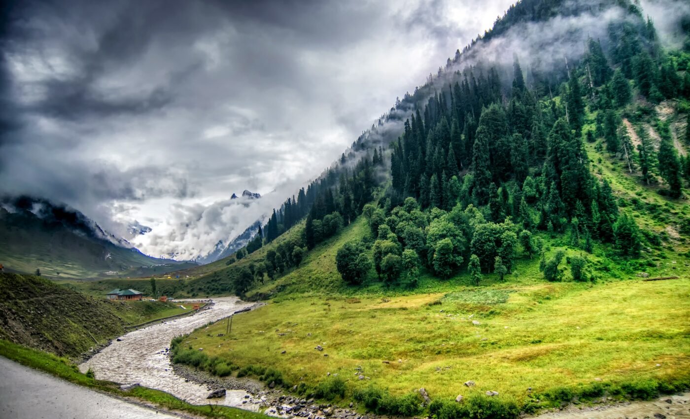 Are animals bigger on the rainy side of the mountain?