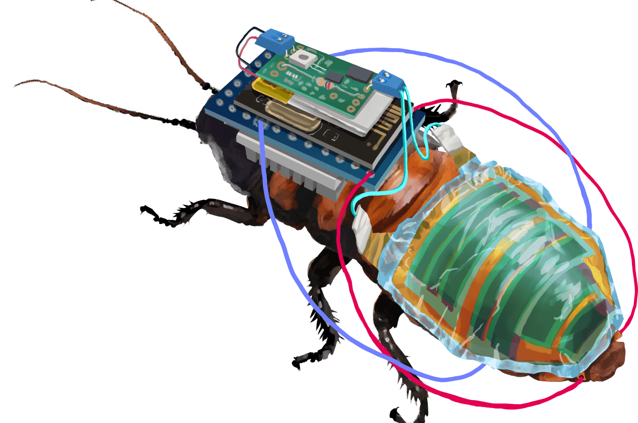 Remote-controlled cyborg cockroach is powered by a solar cell