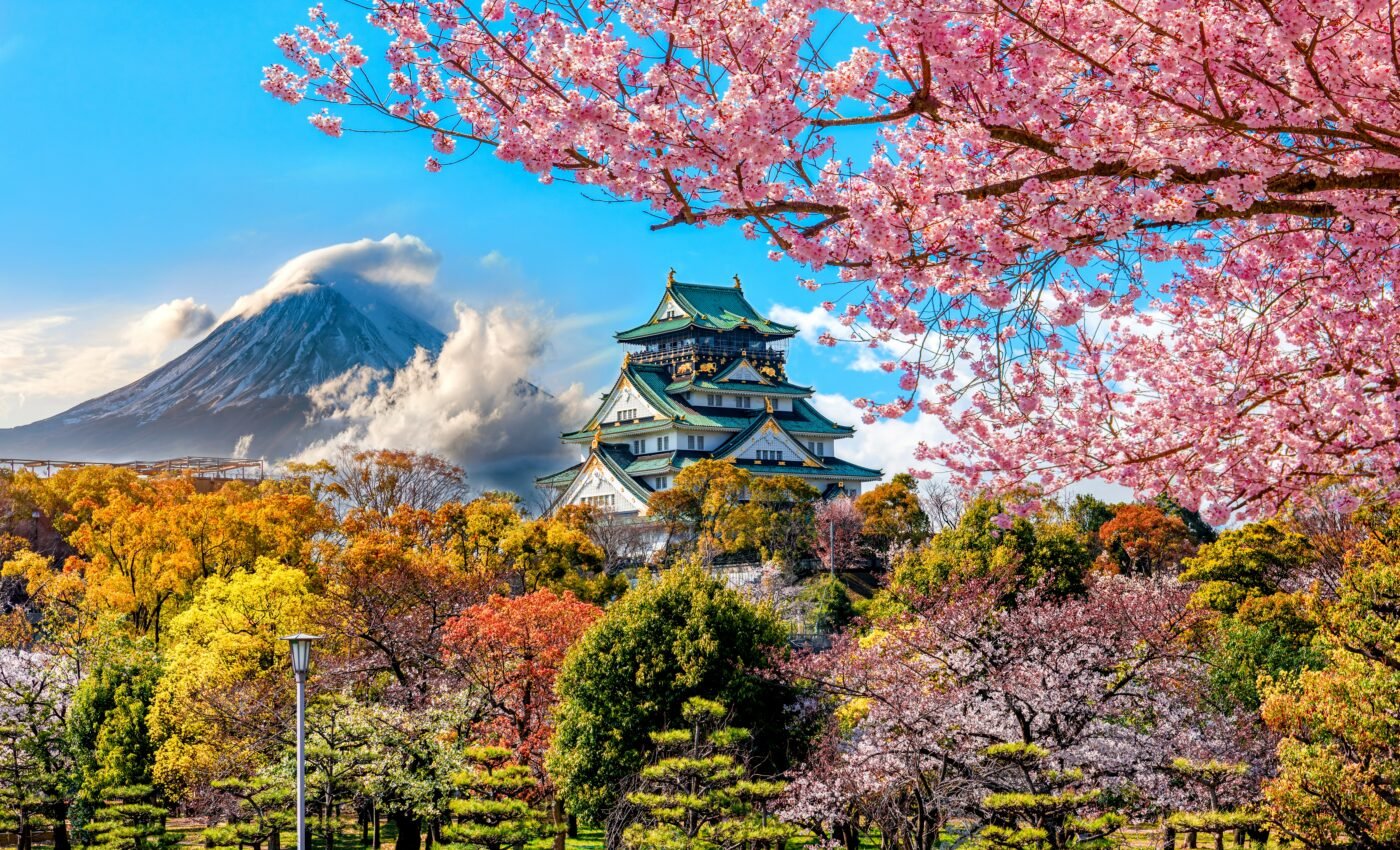 Leaf cover affects the climate in mountain forests