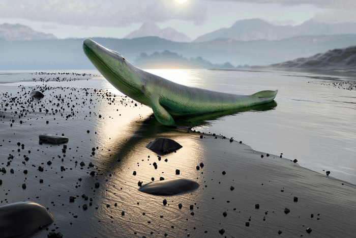 Earliest land animals had fewer skull bones than fish