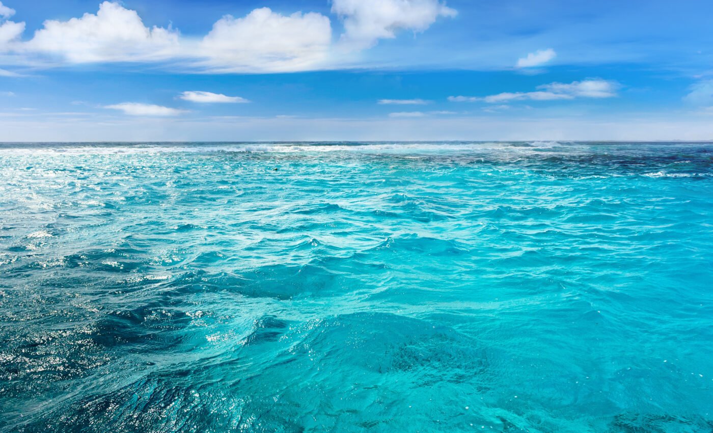 Biodegradable plastic shoes break down in ocean water