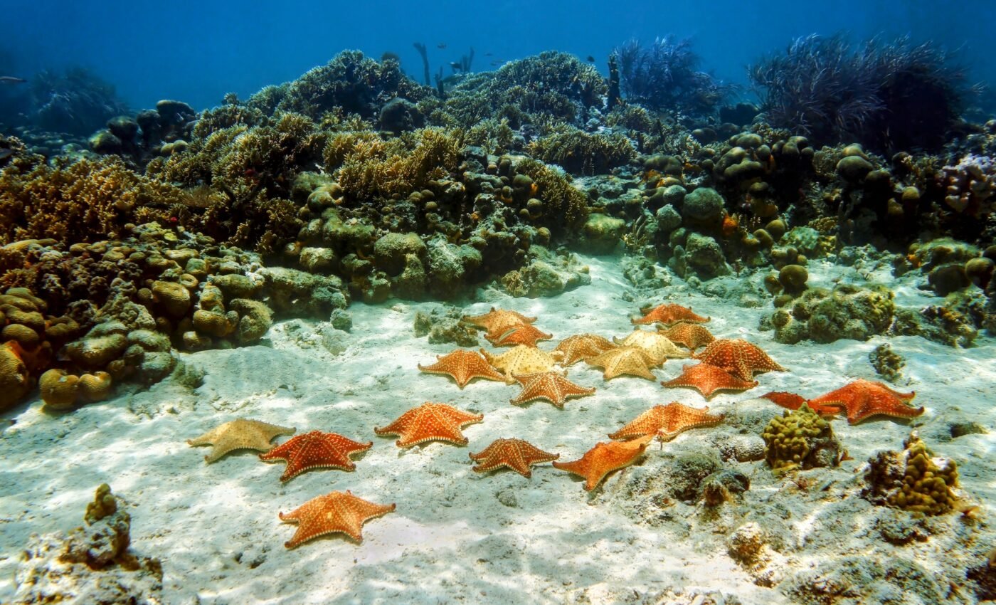 Climate stress causes undetected changes in marine ecosystems