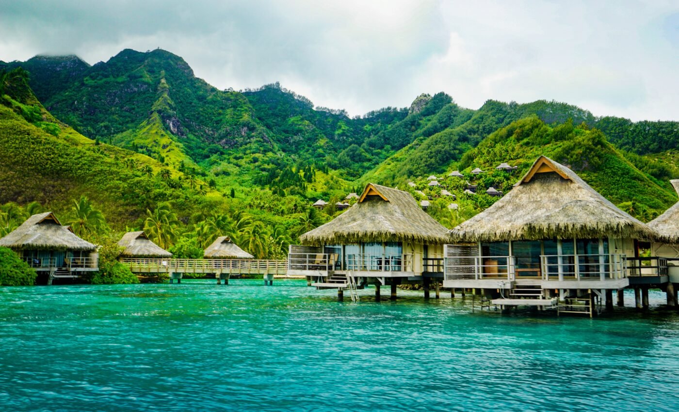 Europeans carried deadly pathogens to the Pacific islands