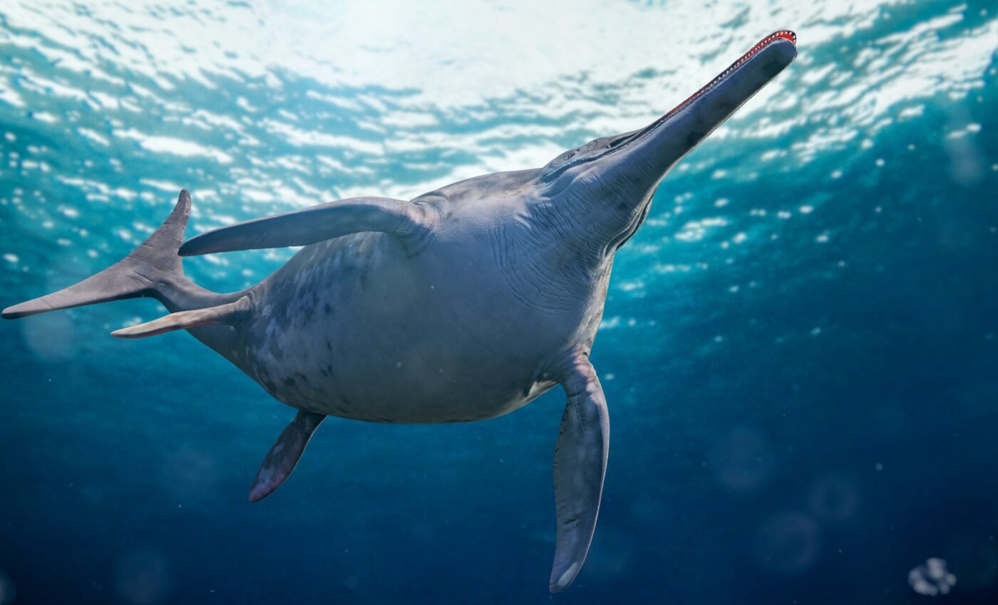 Ichthyosaurs had specialized diets to peacefully coexist