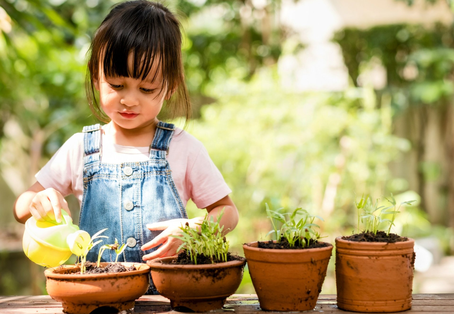 "Plant blindness" is caused by urbanization