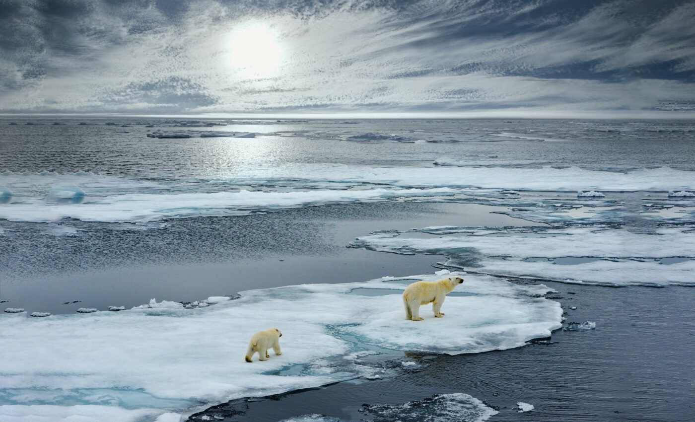 Arctic Ocean found to be a biological "treasure trove"