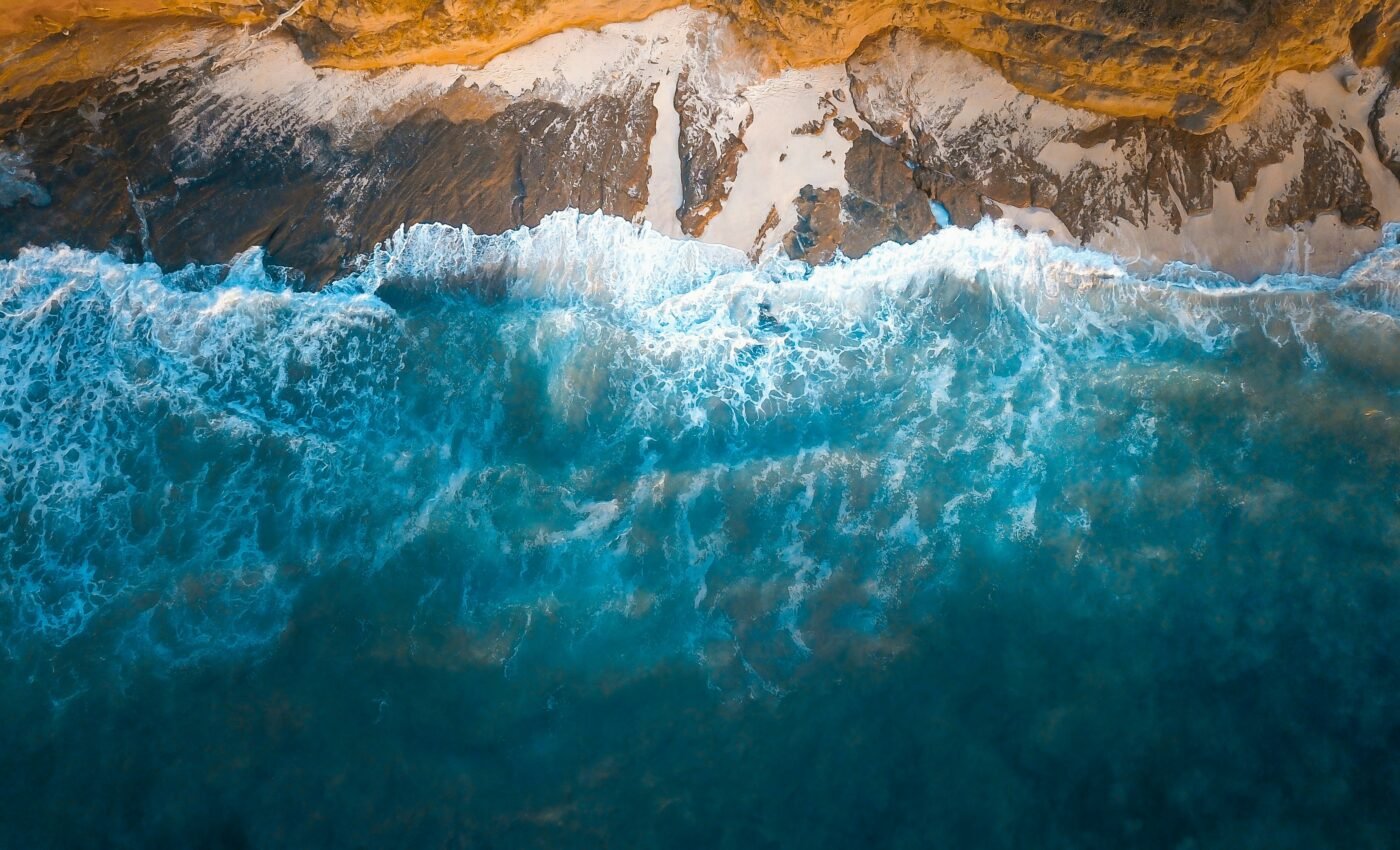 Ocean warming could be devastating to all living creatures