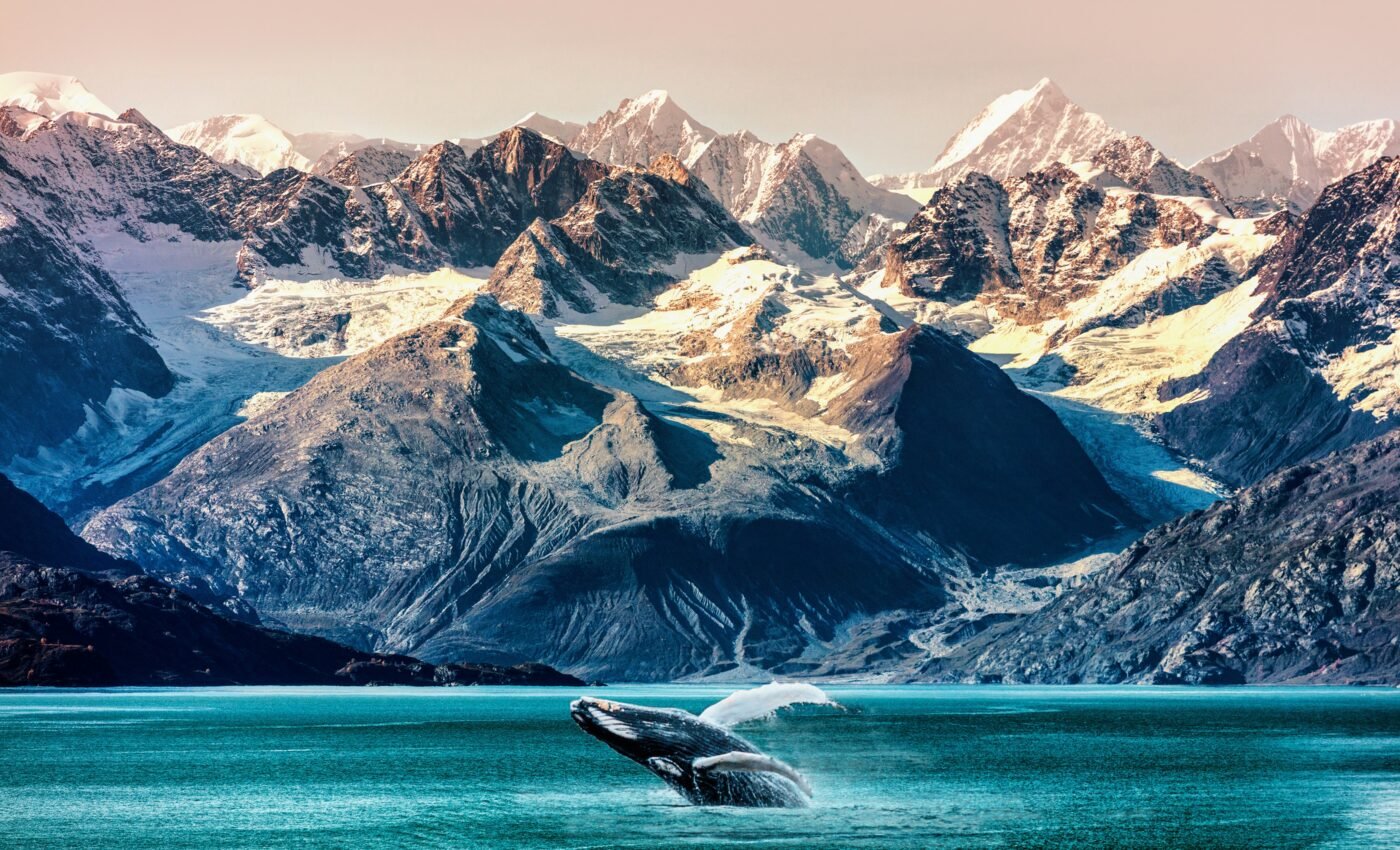 Open water is accelerating ocean acidification in the Arctic