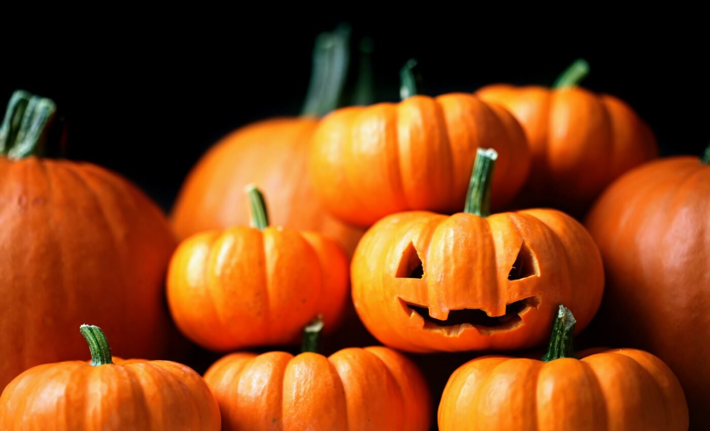 Dumping pumpkins in the woods can endanger wildlife