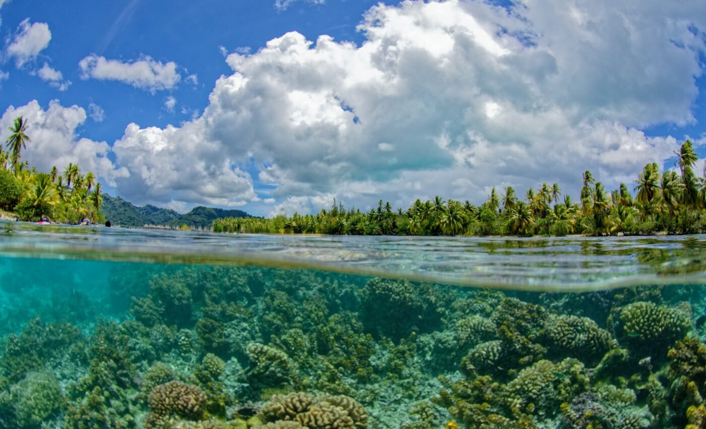 Coastal lagoons have high loads of microplastics