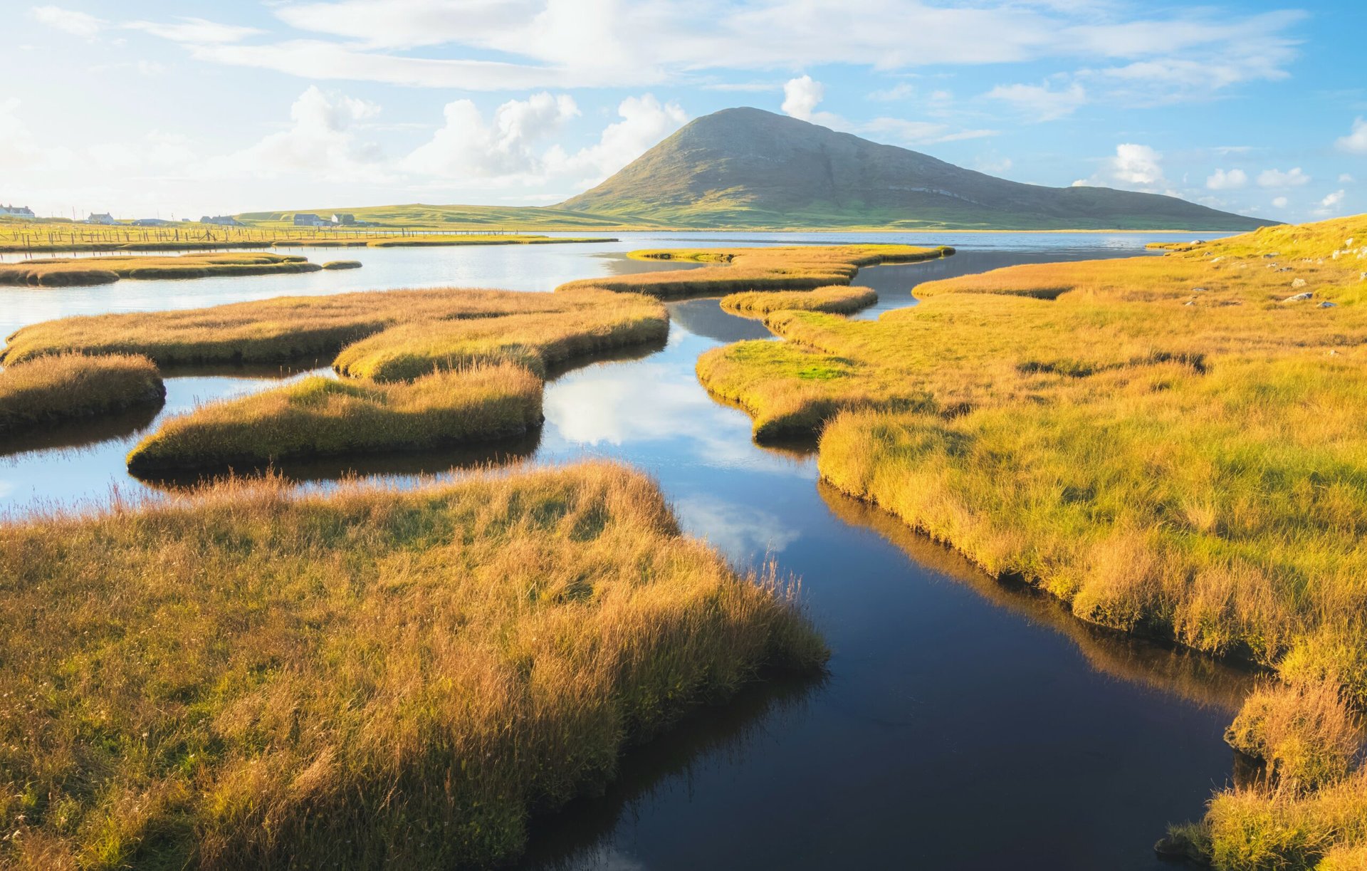 Low marshes emit more CO2 as temperatures rise