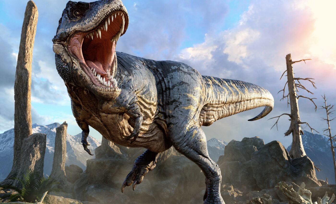 Dinosaur teeth reveal their eating habits