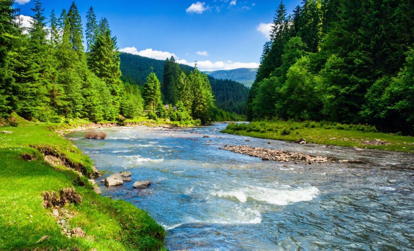 Mountain ecosystems are in urgent need of protection