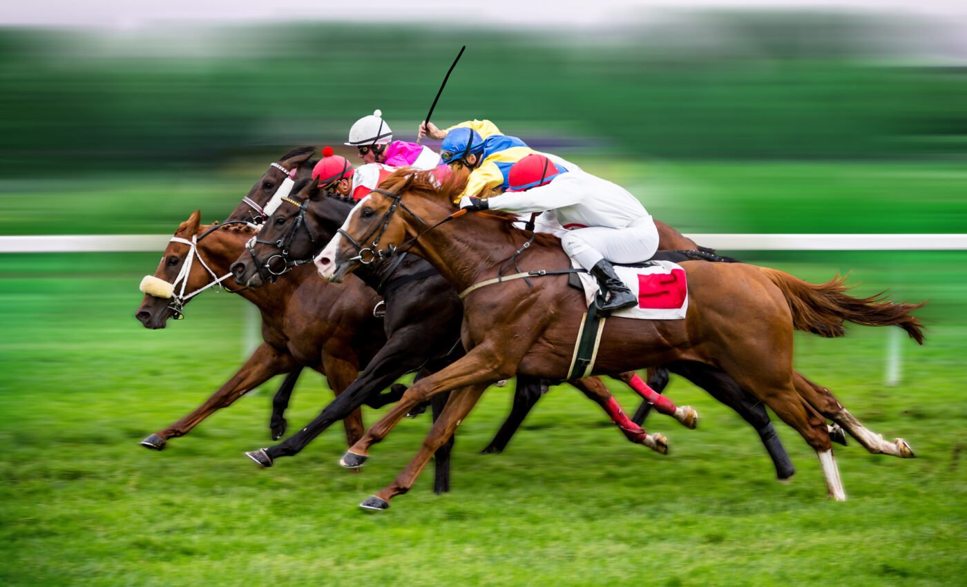 Experts have identified the key genes of racehorses