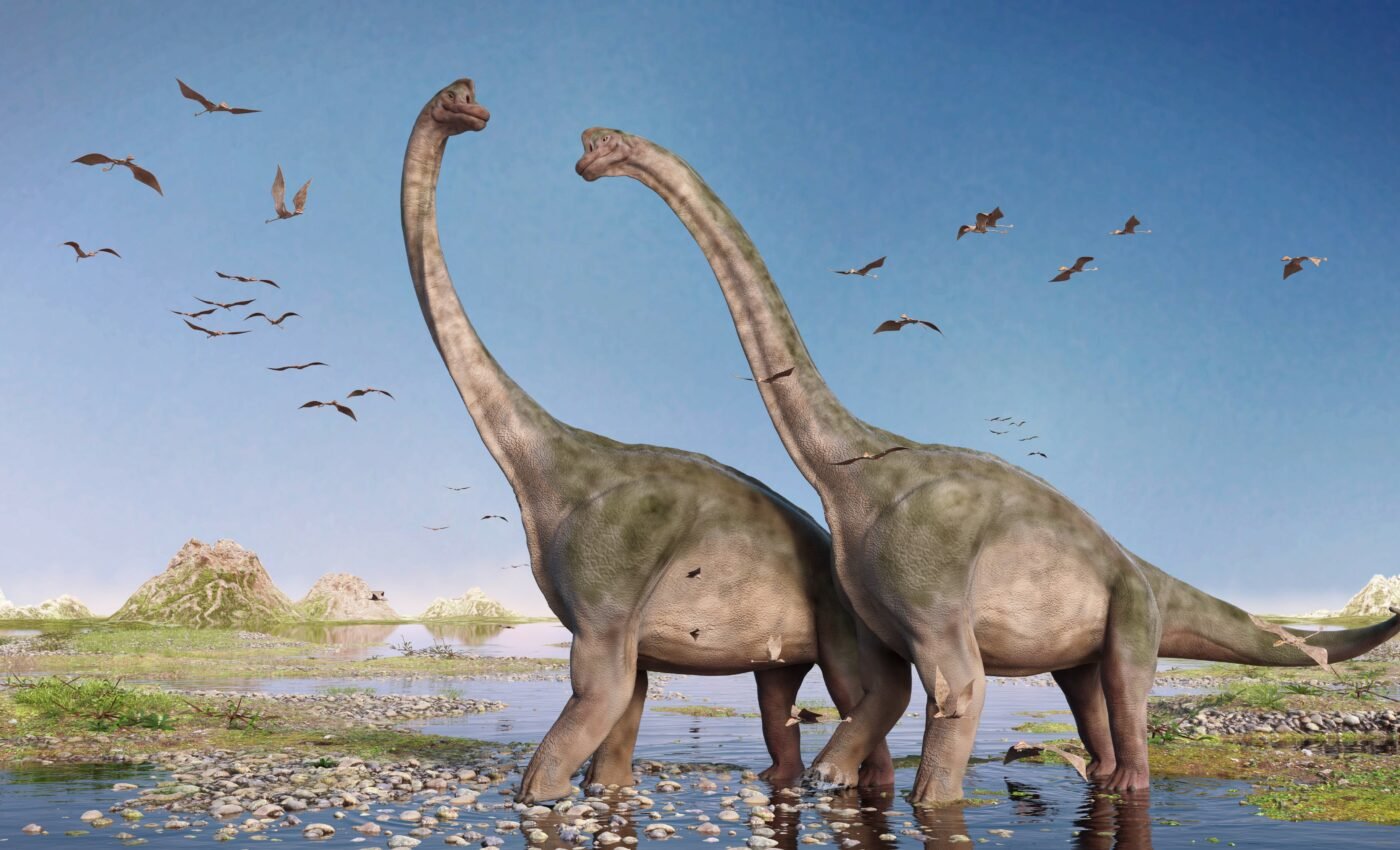 Early dinosaurs benefited from changes in global climate