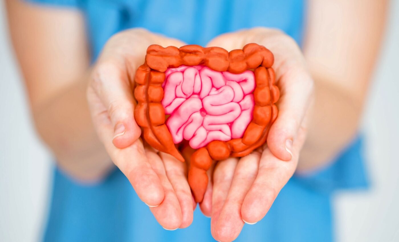 Some gut bacteria promote obesity