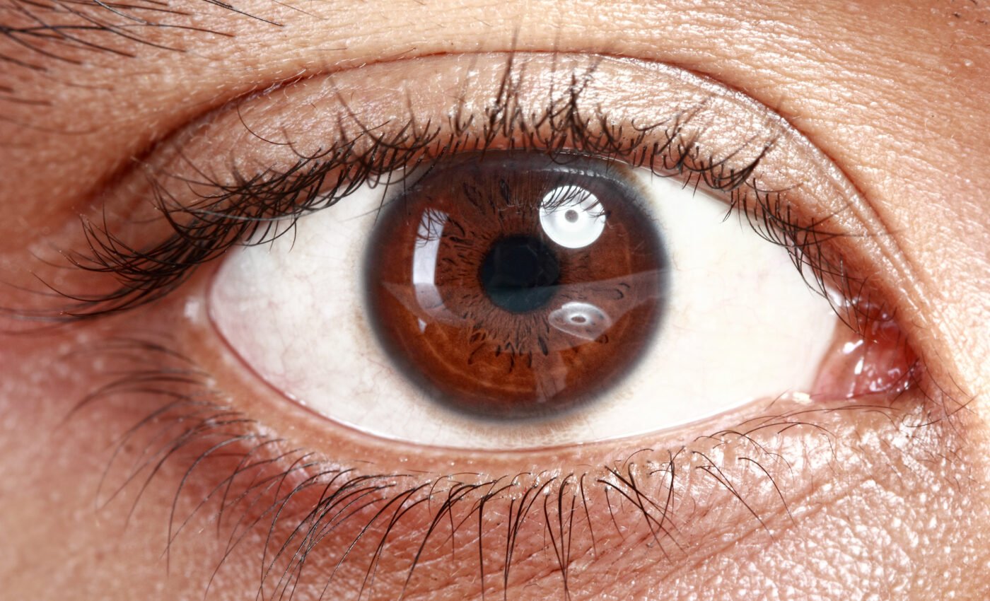 Scientists create eye tissue through 3D bioprinting