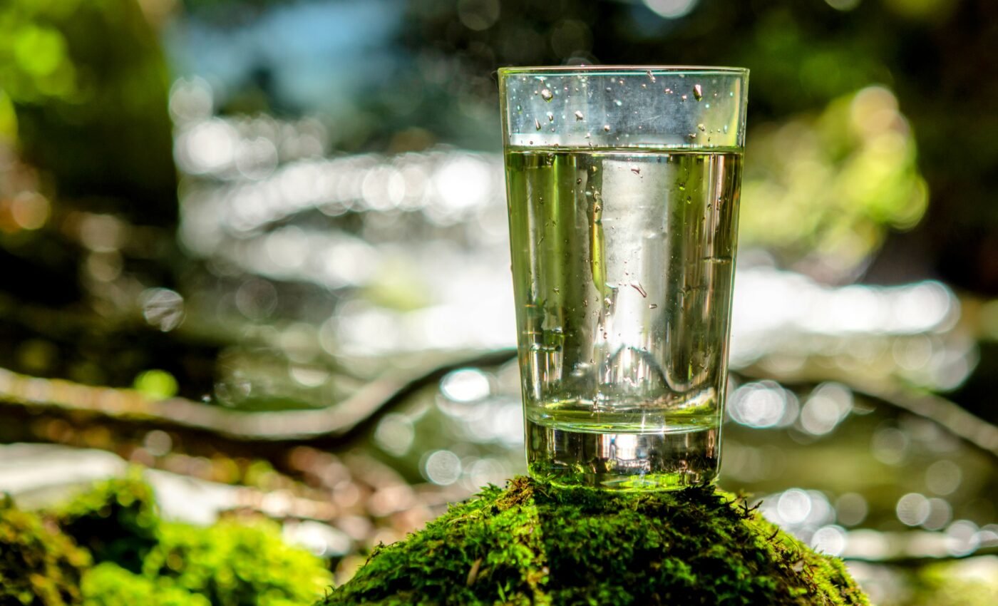 Scientists develop an eco-friendly material to purify water