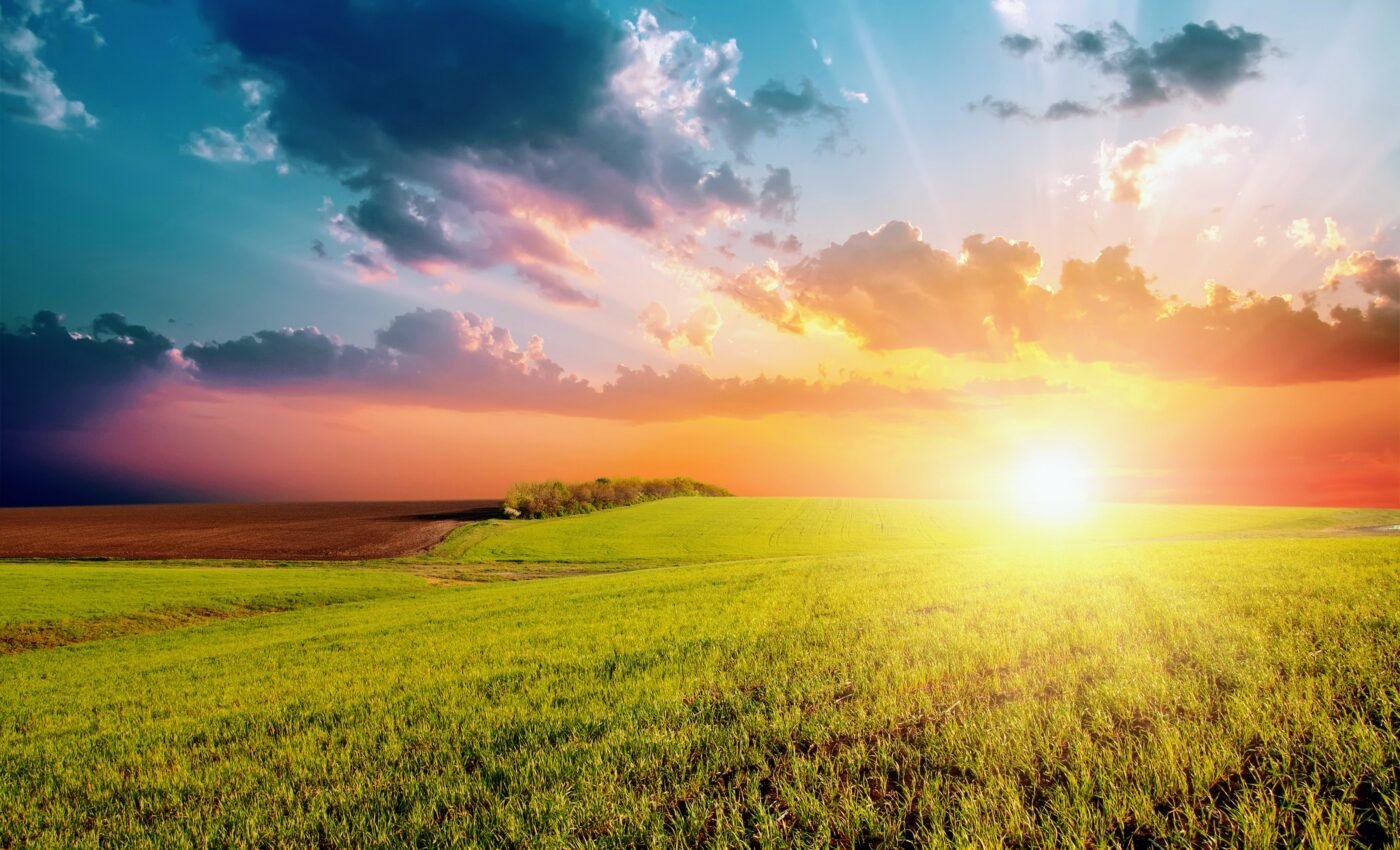 UV radiation played a role in Earth's largest mass extinction