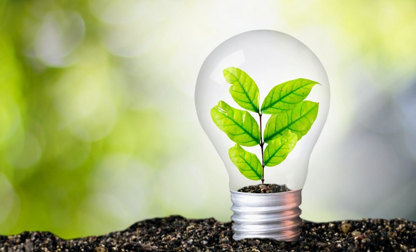 Harvesting electricity with nature-inspired techniques