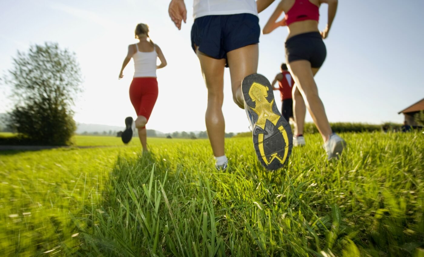 Physical activity curbs insulin production
