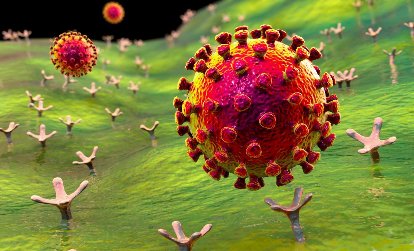 How Covid-19 evades the immune system