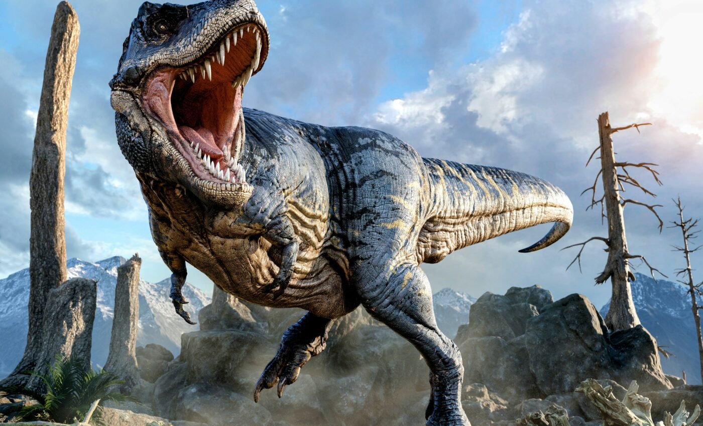 T. rex may have had brains and brawn