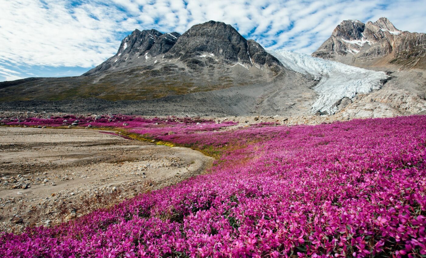 Highest points of Greenland are now affected by global warming