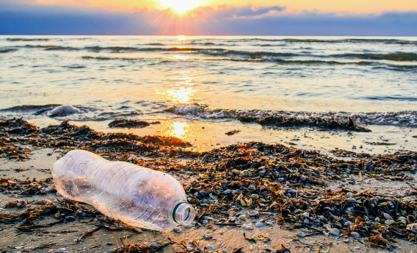 Bacteria can eat and digest plastic