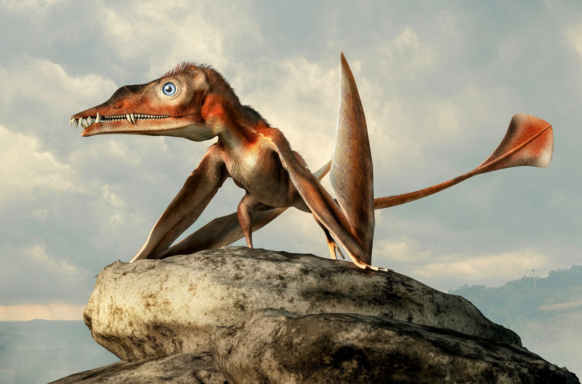 Fascinating pterosaur had hundreds of tiny hooked teeth
