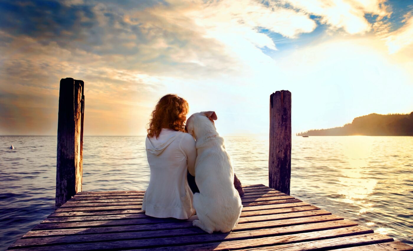 Feelings of gratitude reduce the negative effects of stress