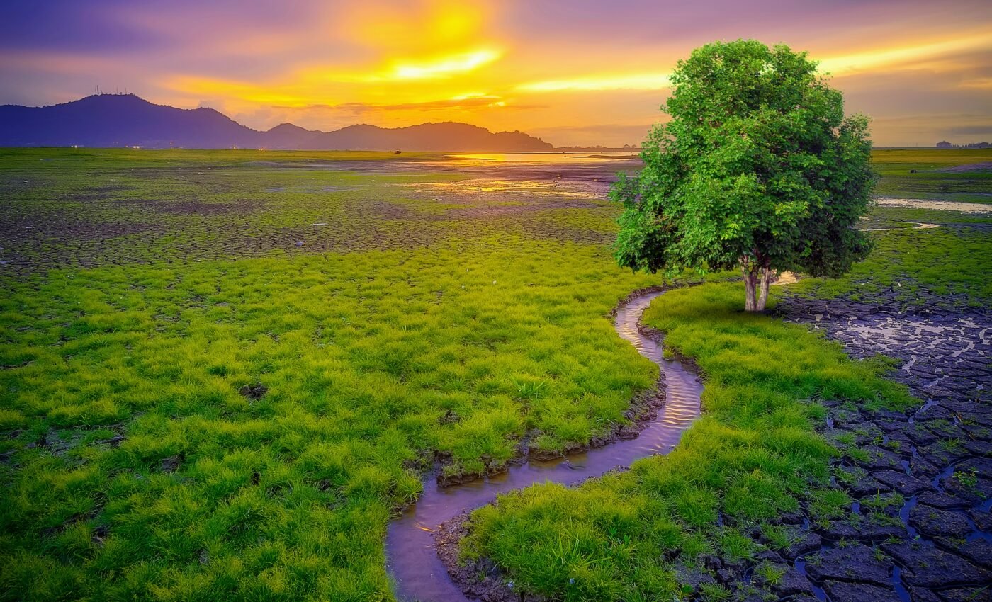 How does Earth’s "thermostat” control the climate?