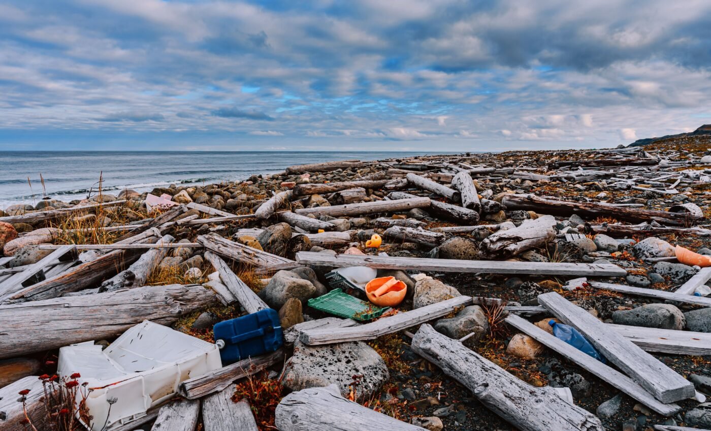 Where does plastic debris in the Arctic come from?