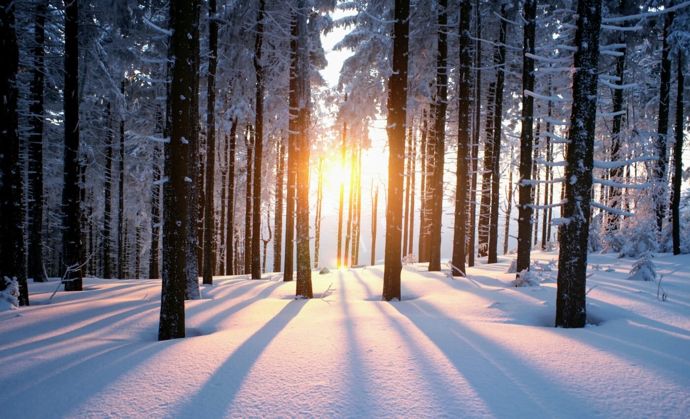 Was Earth heating up or cooling down before global warming?