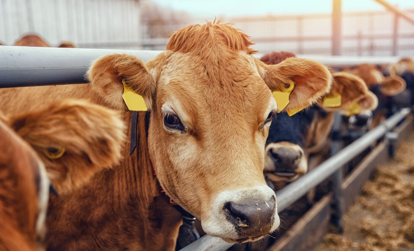The U.S. is alarmingly unprepared for zoonotic diseases
