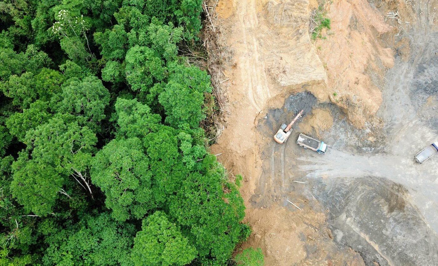 Deforestation in the tropics linked to reduced rainfall