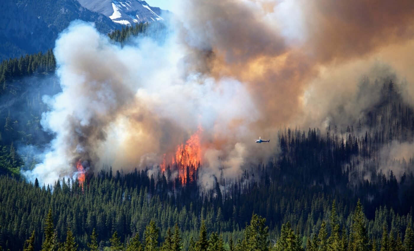 Record-breaking amount of CO2 released by wildfires in 2021