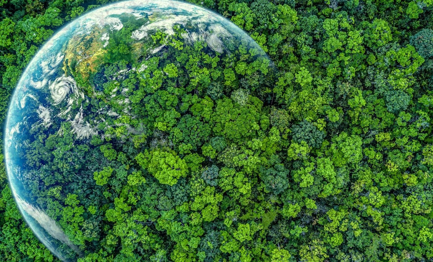Earth greening affects carbon uptake by plants