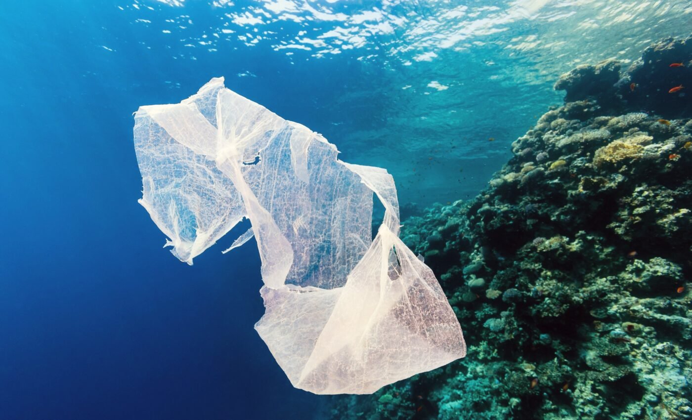 Biodegradable plastic materials do not biodegrade in the ocean