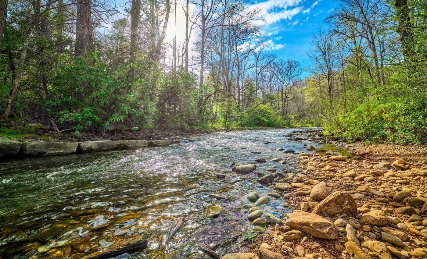 Fish evolution and biodiversity is shaped by river erosion