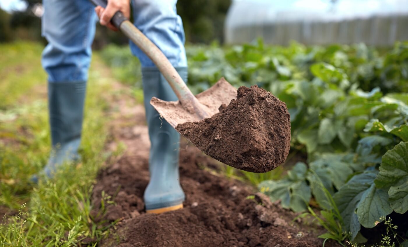 Feeding the world at a cost: Food production and biodiversity loss