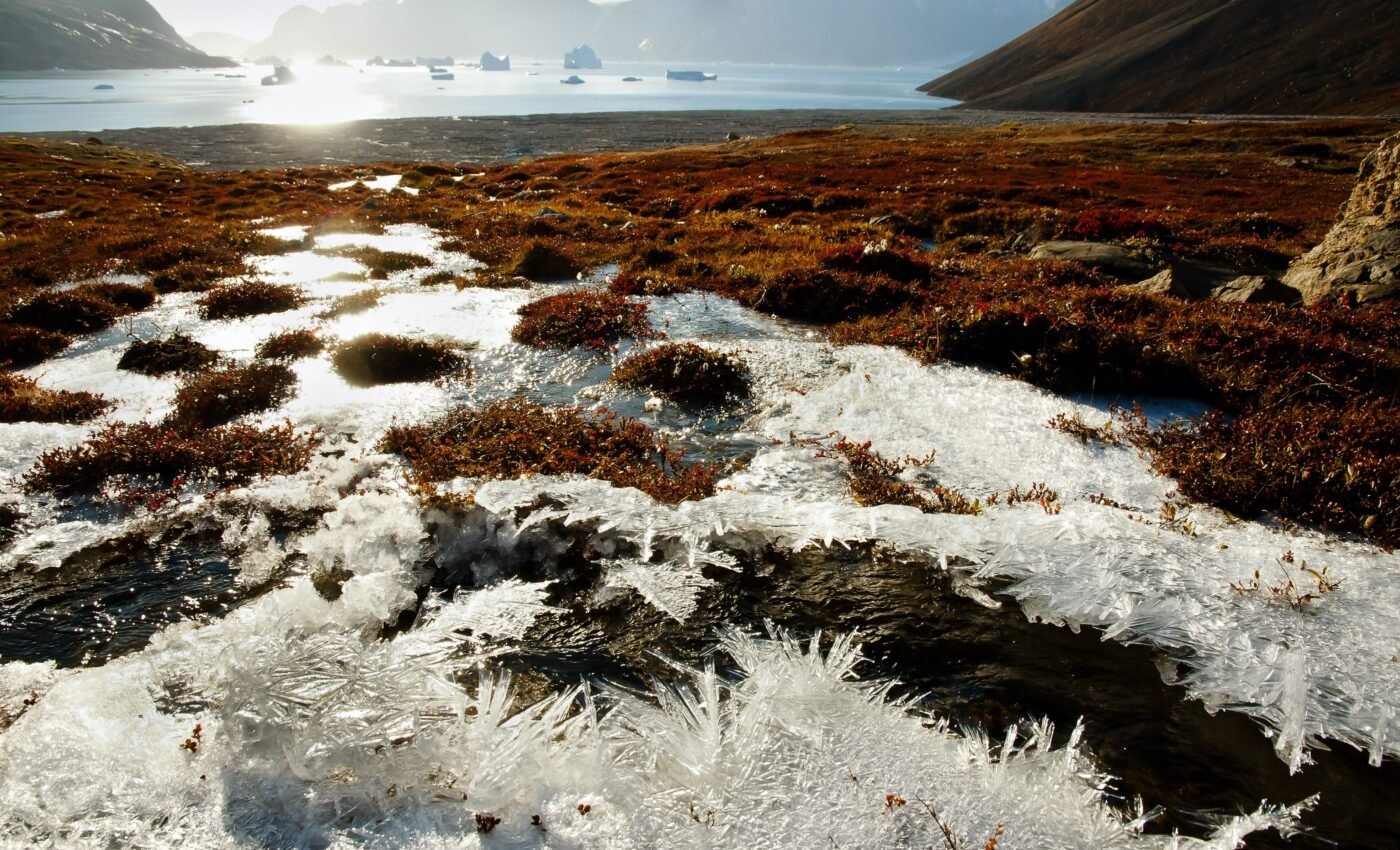Climate change is unleashing ancient "zombie viruses" as ice layers melt