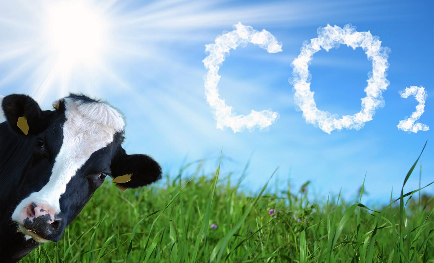 Scientists beg the public to "wake up" as greenhouse gas emissions reach another all-time high