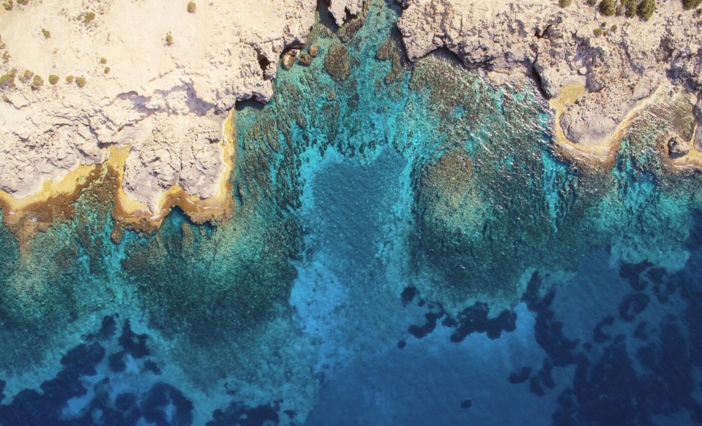Historic treaty adopted to protect biodiversity in the high seas