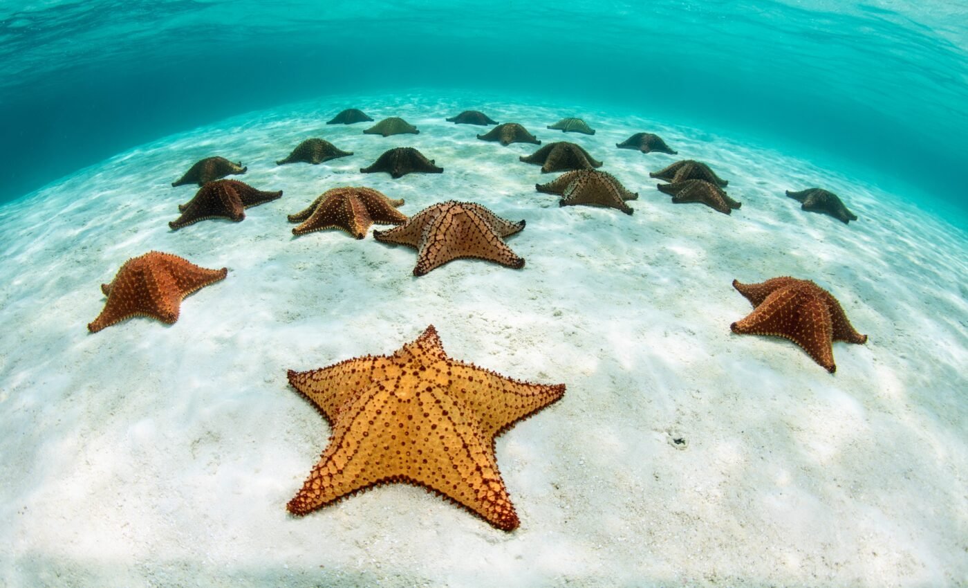 Marine protected areas improve well-being in coastal communities