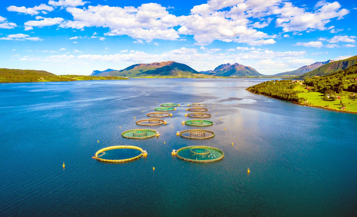 90% of the world’s aquaculture faces substantial risk from human-induced environmental changes